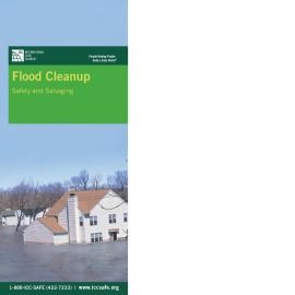 Flood Cleanup: Safety and Salvaging Brochure (set of 25) 