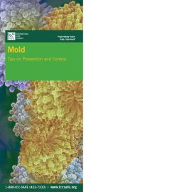 Mold: Tips on Prevention and Control Brochure (set of 25)